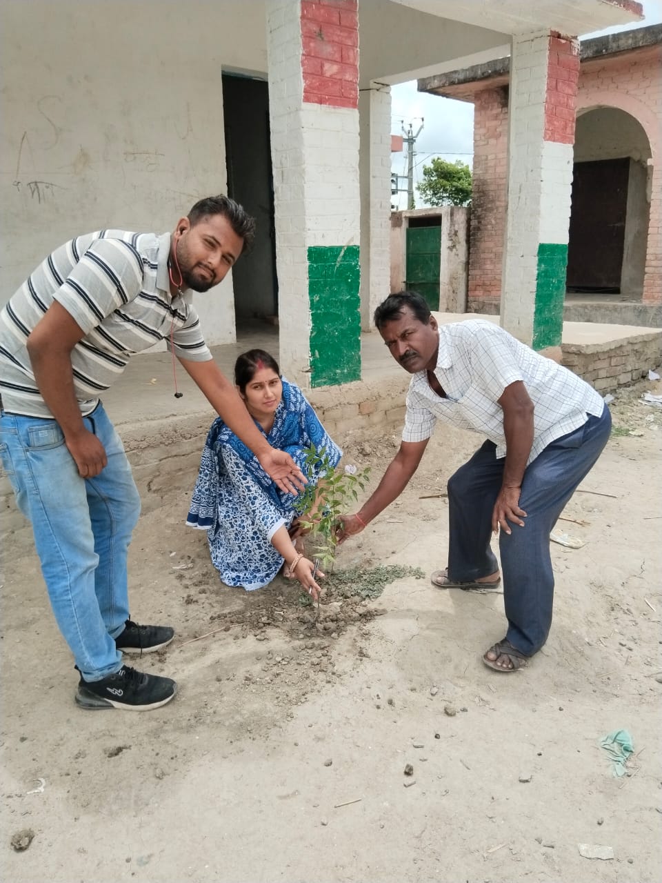 Plantation at Schools